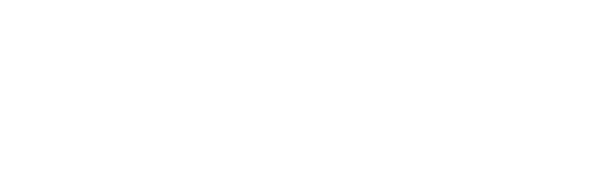 Vortice logo