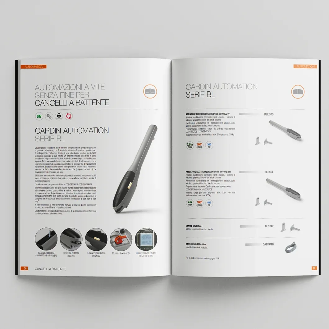 Dettaglio del problema