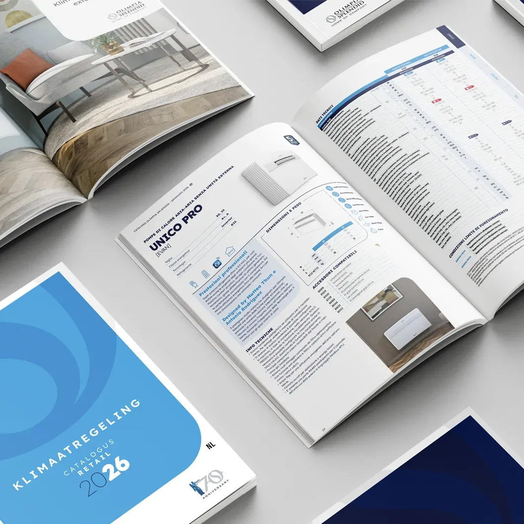 Dettaglio del problema